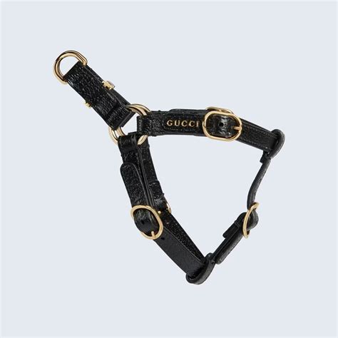 gucci polo collar|Gucci collar for cats.